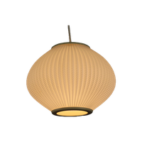 Perfecte Deense Hanglamp | Hoyrup-Verlichting | Lars Eiler Schiøler | Vintagelamp | Modern Uit He