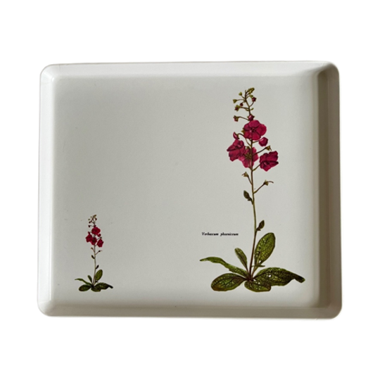 Mebel Dienblad Met Botanische Afbeelding; Verbascum Phoeniceum 1