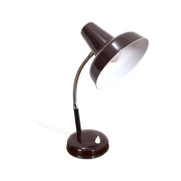 Fischer Bureaulamp 67491