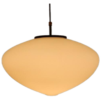 Raak Retro Vintage Lamp Hanglamp Jaren 50 / 60 Melkglas