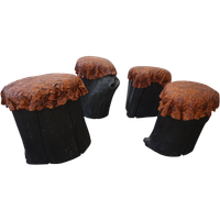 Boomstamkrukjes