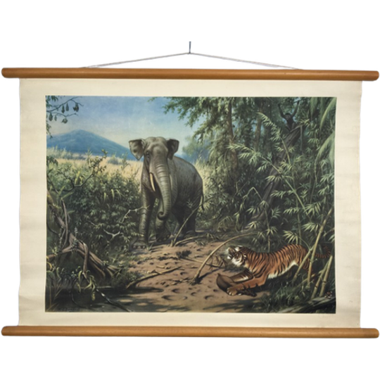 Schoolplaat - In De Rimboe Met Olifant En Tijger 1