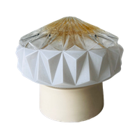 Plafond Lamp