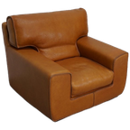 Roche Bobois Clubfauteuil In Tan/Cognac Nekleer thumbnail 1