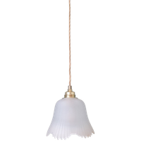 Vintage Florale Hanglamp Van 'frosted' Glas