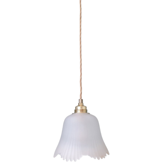 Vintage Florale Hanglamp Van 'frosted' Glas 1