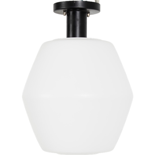 Raak Plafondlamp 69877 1