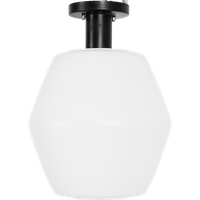 Raak Plafondlamp 69877
