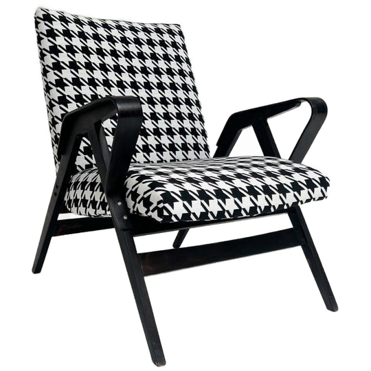 Unieke Fauteuil Van Frantisek Jirak Voor Tatra Nabytok 1