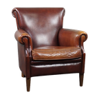 Waanzinnig Mooi Gekleurde Schapenleren Fauteuil, Armchair thumbnail 1