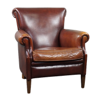 Waanzinnig Mooi Gekleurde Schapenleren Fauteuil, Armchair