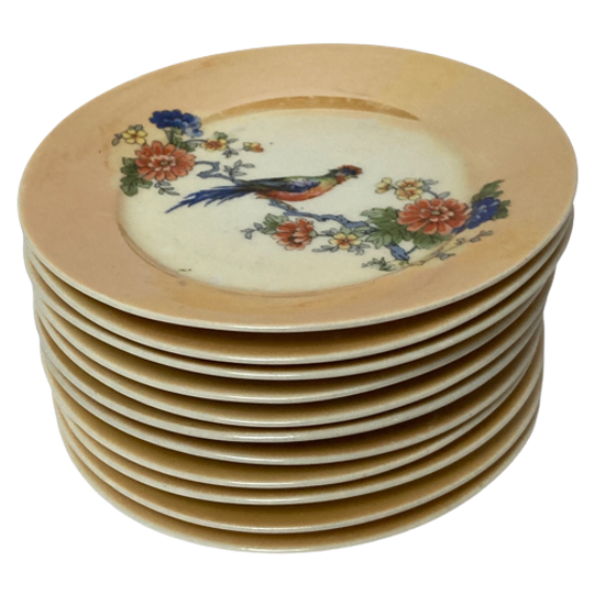 Set Van 11 Leuk Gedecoreerde Schaaltjes Met Vogeldecor - Reliving 1