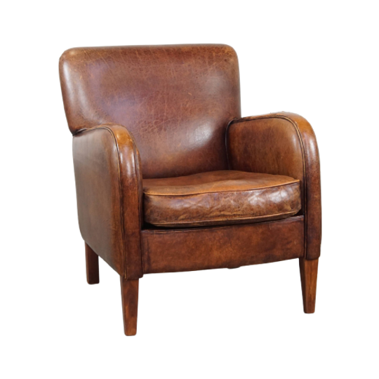 Strak Afgewerkte Comfortabele Schapenleren Armchair Met Veel Karakter En Prachtige Kleuren 1