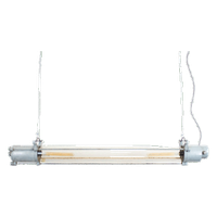 Industriële Tube Lamp Ddr | Grijs