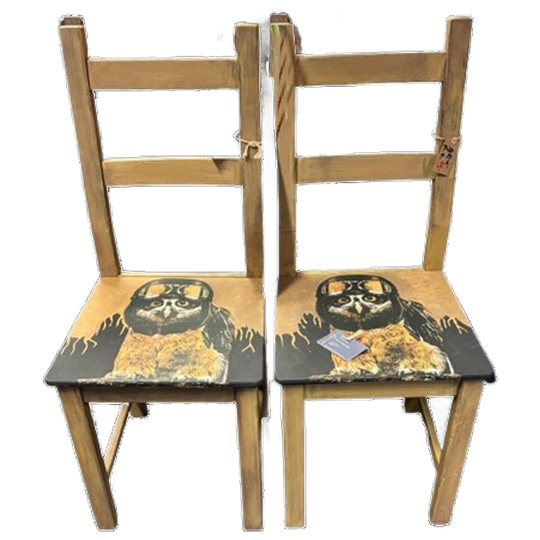 2 Stoelen Met Stoere Uil 1