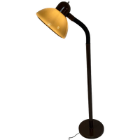 Dijkstra - Rare Model - Space Age Design / Mcm Floor Lamp With Gooseneck