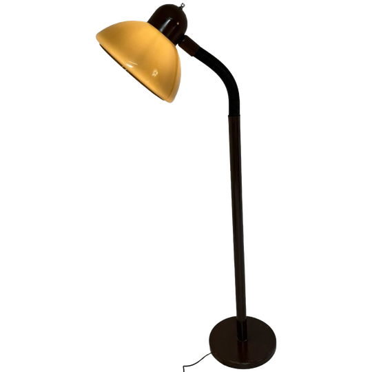 Dijkstra - Rare Model - Space Age Design / Mcm Floor Lamp With Gooseneck 1