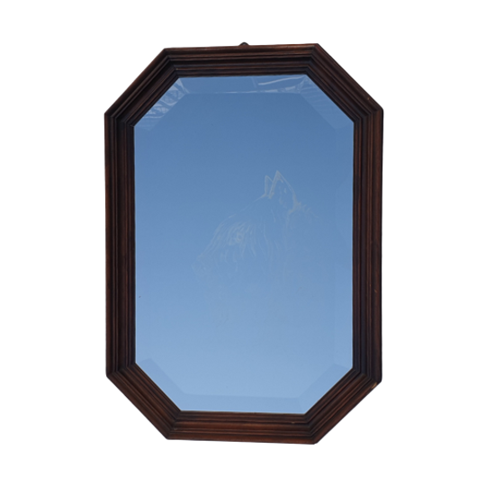 Spiegel Bouvier Facet 48×68 1