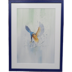 Aquarel "ijsvogel" Christine Desender thumbnail 1