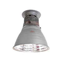 Zeiss Ikon - Plafondlamp - (rm34a)