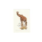 Vintage Print Netgiraffe thumbnail 1