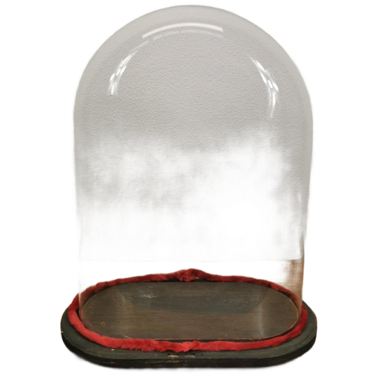 Antieke Vintage Grote Glazen Ovale Stolp 511 1