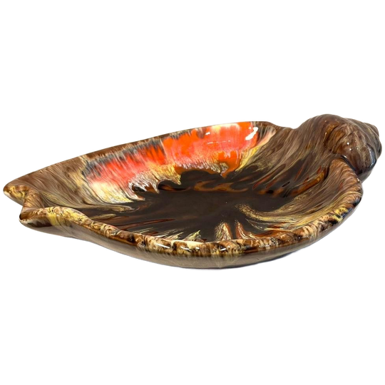 Vallaurisschaal Schelp 1