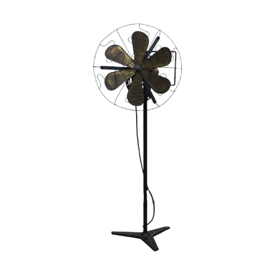 Electric Fan, 1950 1