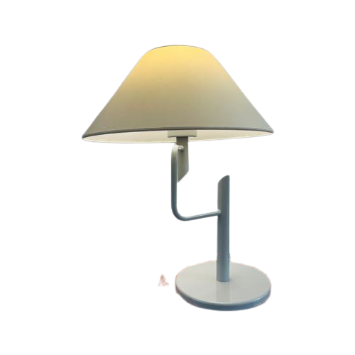 Vintage Dijkstra Zwenk Lamp. Unieke Lamp Van Dijkstra. Dutch Design.