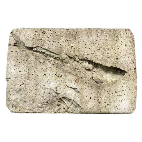 Beton Kunst Van Twee Vissen 1