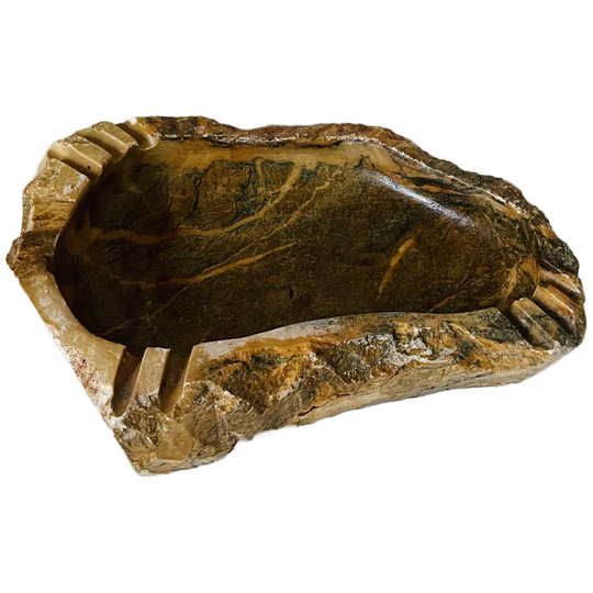 Schaal Versteend Hout Groot 1