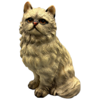 Perzische Kat Harvey Knox thumbnail 1