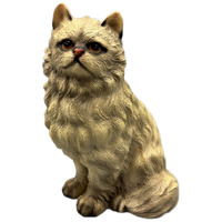 Perzische Kat Harvey Knox