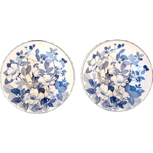 2 Vintage Diepe Borden Italiaans Porselein 1