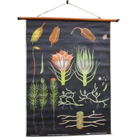 Vintage Botanische Schoolkaart