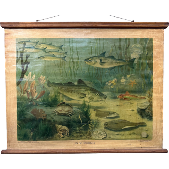 Vintage Linnen Schoolkaart – In De Noordzee 1