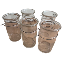 5x Authentiek Pastis Glazen/flessen Met Ijzerdraad Eromheen