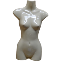 Vrouwelijke Kunststof Torso Ivoor Kleurig