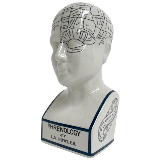 Keramieken 30 Cm Hoge Phrenology Hoofd, 1990’s 1