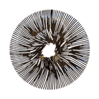 Vintage Fruitschaal Koziol Anemone thumbnail 1