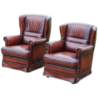 Lederen Fauteuils Dames En Heren Fauteuil