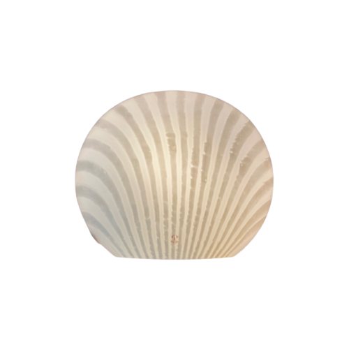 Peill & Putzler Zebra Shell