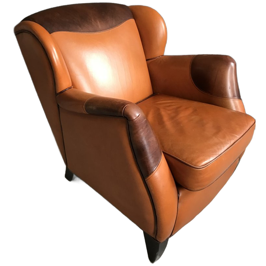 Vintage Bendic Fauteuil 1