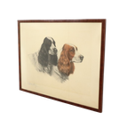 Grote Kleuren Litho Leon Danchin Jachthond Spaniël 68x55cm thumbnail 1