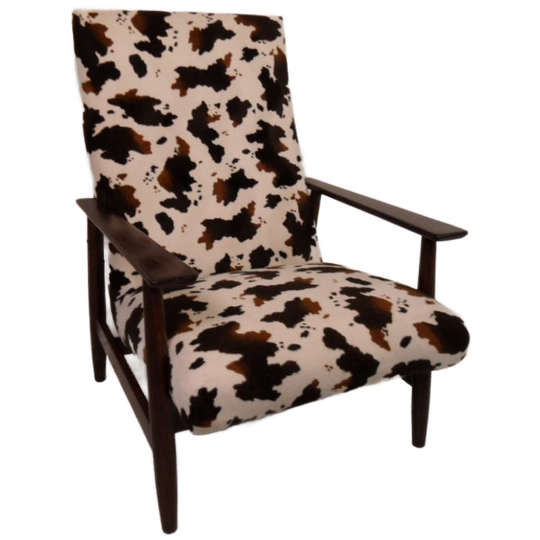 Mid Century Armstoel 1