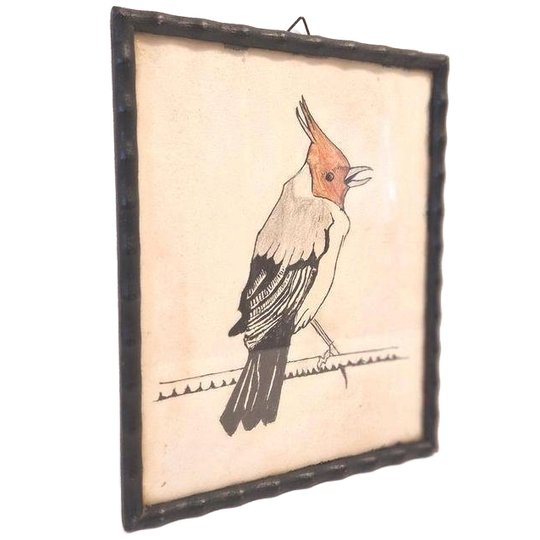 Antieke Prent Tekening In Lijst Achter Glas Vogel Schilderij 1