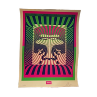 Shepard Fairey (obey), Op-art Icon