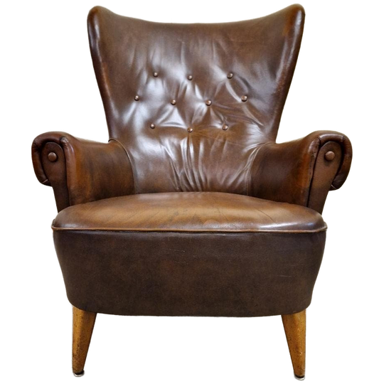 Artifort Jaren 50 Theo Ruth Vintage Fauteuil Leren Fauteuil 1