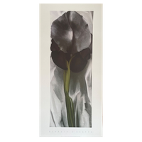 G. O’keeffe (1887-1986), Dark Iris I, 1927,