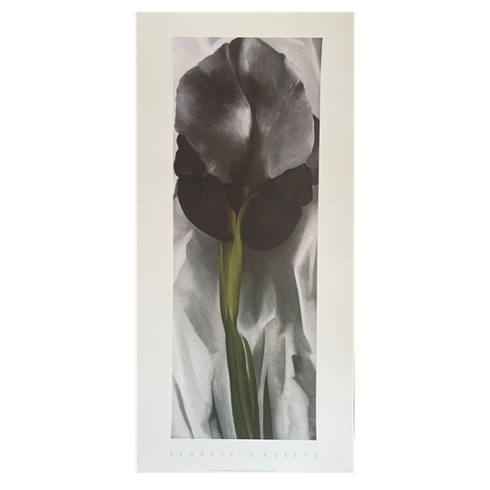 G. O’keeffe (1887-1986), Dark Iris I, 1927, 1